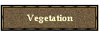 Vegetation