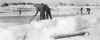 ice.jpg (45230 bytes)