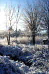 snow1.jpg (94228 bytes)